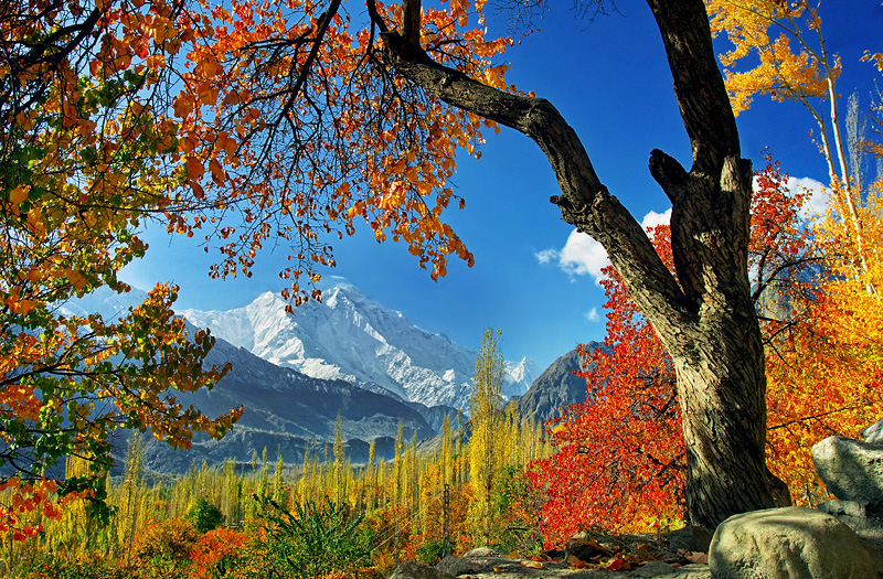 autumn-session