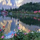 shangrilla