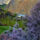 spring-view